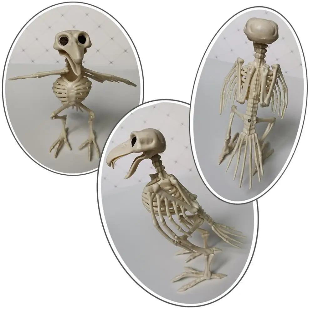 Halloween Animal Skeleton