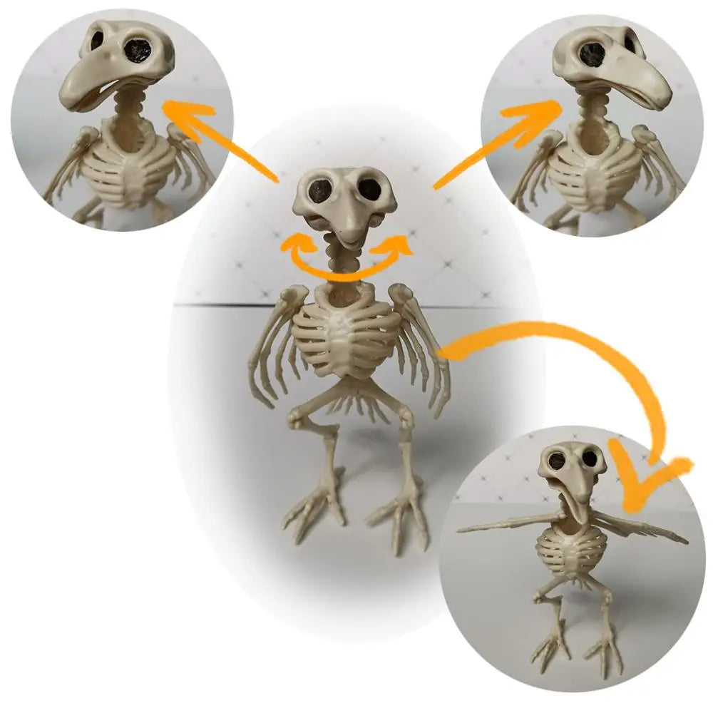 Halloween Animal Skeleton