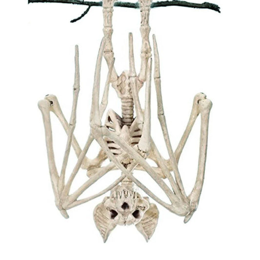 Halloween Skeleton Decoration